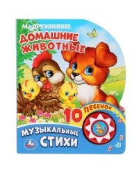 Домашние животные