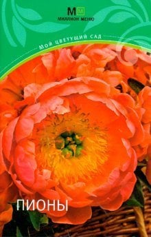 Мой цветущий сад Пионы
