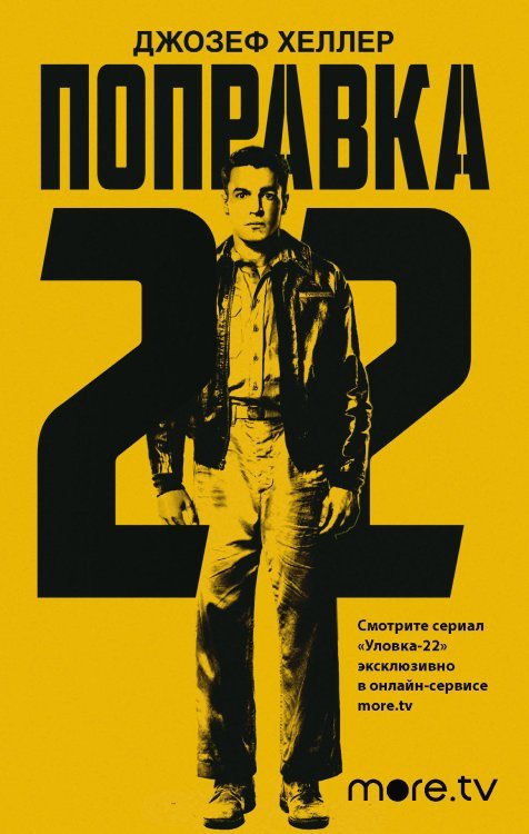 Поправка 22
