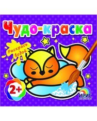 Раскрась водой. Котенок