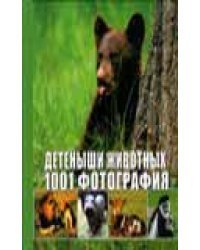 Детеныши животных. 1001 фотография