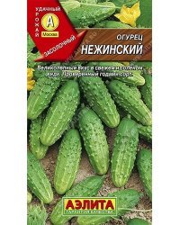 Семена. Огурец "Нежинский", пчелоопыляемый (20 штук)