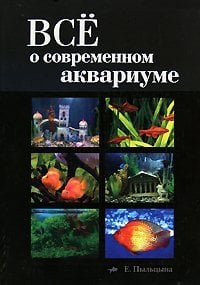 - Все о современном аквариуме