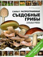 Самые распространенные съедобные грибы / 