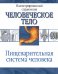 Пищеварительная система человека / Древаль И.К.