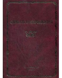 Соматоневрология. Руководство для врачей / Скоромец А.А.