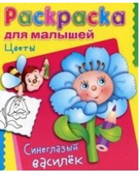 Цветы. Синеглазый василек 