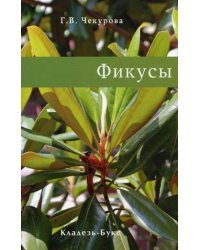 Фикусы