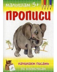 Начинаем писать по клеточкам