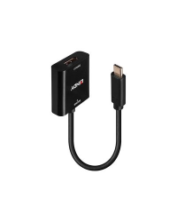 Lindy - видеоадаптер - 24 pin USB-C to DisplayPort - 21 см