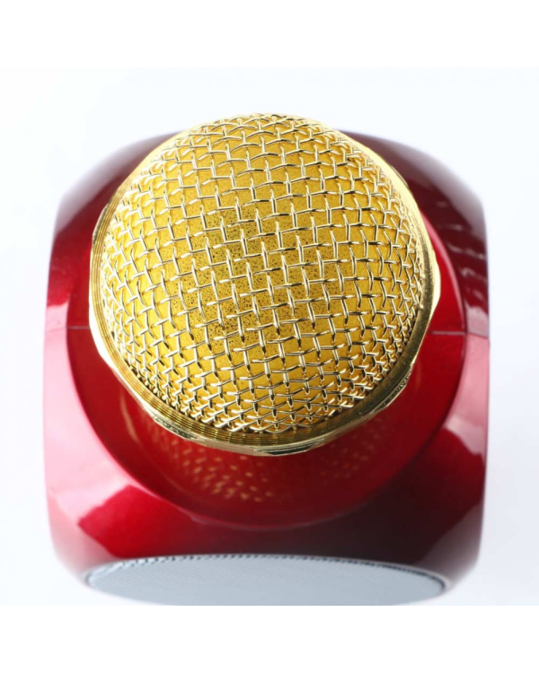 Goodbuy LED 360 караоке микрофон с динамиком bluetooth | 5 Вт | aux | голосовой модулятор | USB | Micro SD красный