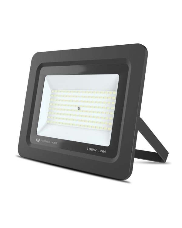 Прожектор светодиодный PROXIM II 100W |6000K| IP66 Forever Light