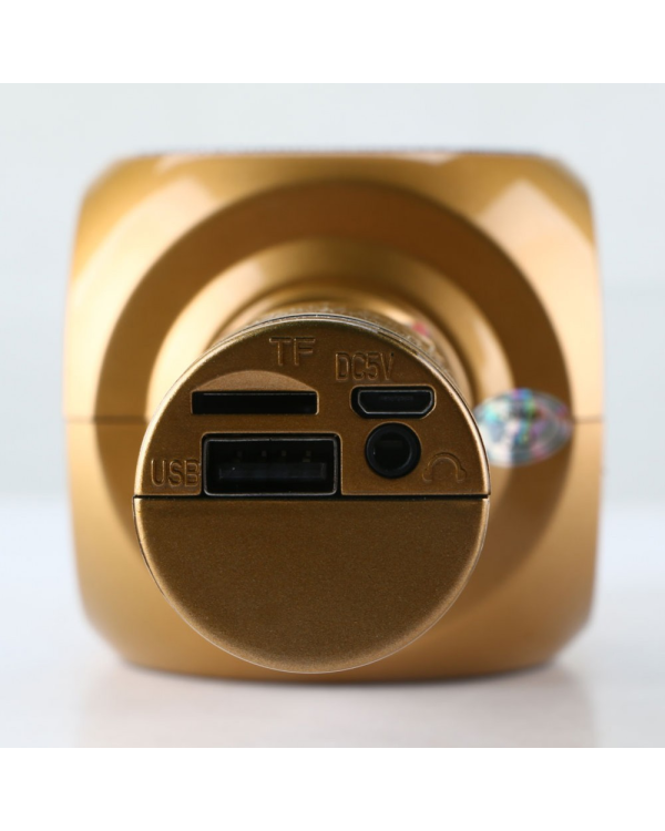 Goodbuy LED 360 караоке микрофон с динамиком bluetooth | 5 Вт | aux | голосовой модулятор | USB | Micro SD золотой цвет