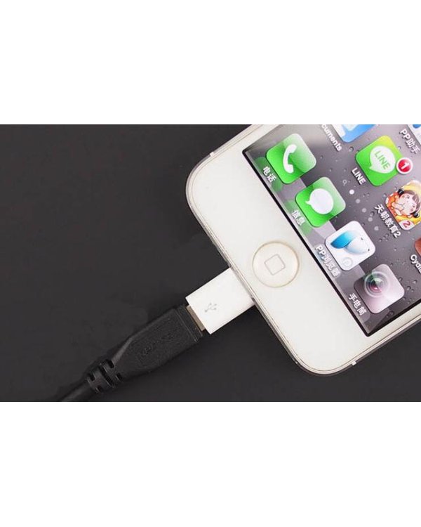 Fusion Адаптер Micro USB для подключения Lighting MD820ZM Аналоговый белый