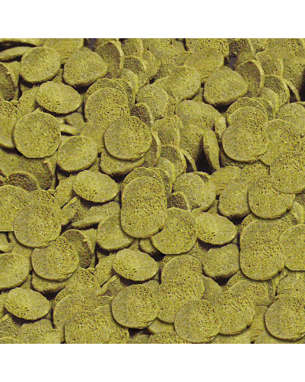 Корм для рыб : Sera Чипсы для сомов, 250 мл