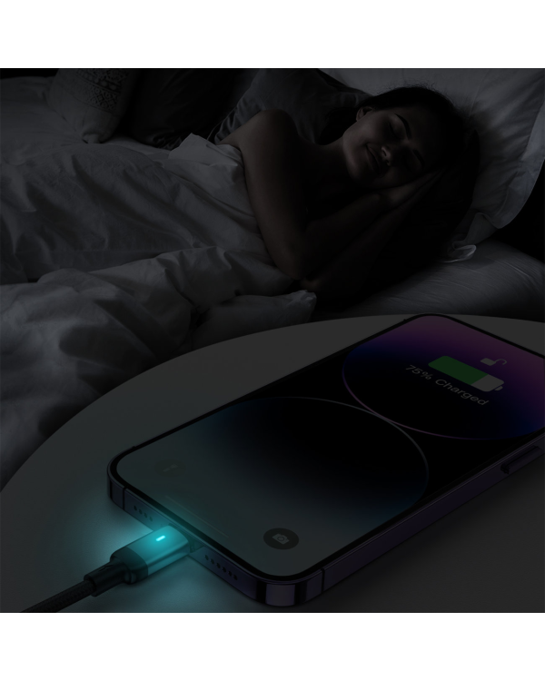 Дополнительное изображение книги «Joyroom USB - Lightning 2.4A A10 Series кабель 2 м черный (S-UL012A10)»