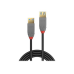 Lindy Anthra Line - USB cable - USB Type A to USB Type A - 50 cm