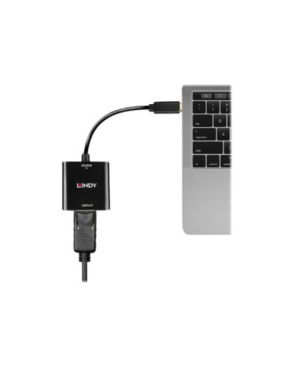 Lindy - видеоадаптер - 24 pin USB-C to DisplayPort - 21 см