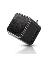 портативное радио Setty MF-100 / с динамиком / aux / microSD черный