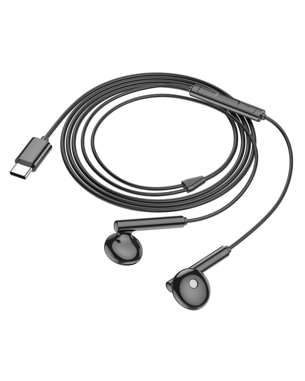Дополнительное изображение книги «Borofone Earphones BM82 Art music with microphone Type C black»