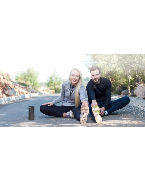 Tronsmart Element T6 Plus 40 W Bluetooth 5.0 wireless speaker (367785)