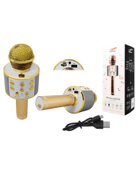 LTC микрофон для караоке со встроенным динамиком bluetooth | 3 Вт | aux | голосовой модулятор | USB | Micro SD золотой