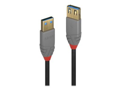 Lindy Anthra Line - USB cable - USB Type A to USB Type A - 50 cm