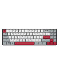 Wireless mechanical keyboard Dareu EK871