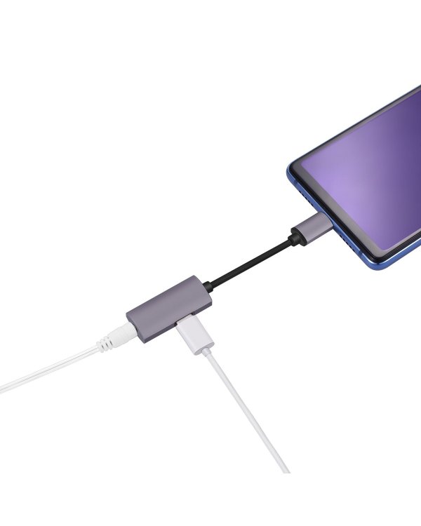 Platinet PMMAC35 Multimedia audio Type-C do mini Jack 3.5mm + Type-C Аудио Адаптер для Телефонов Серебряный