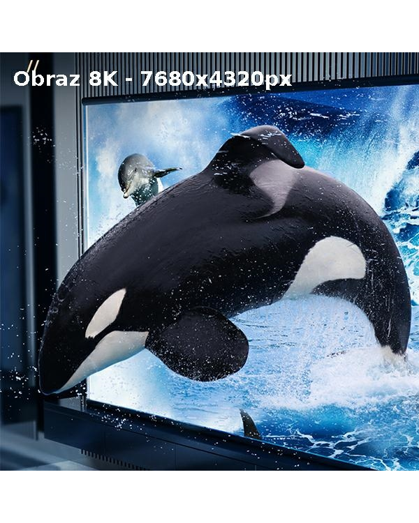 Дополнительное изображение книги «USAMS Kabel HDMI - HDMI 2.1 U67 5m 8K czarny|black Ultra HD SJ499HD01 (US-SJ498)»