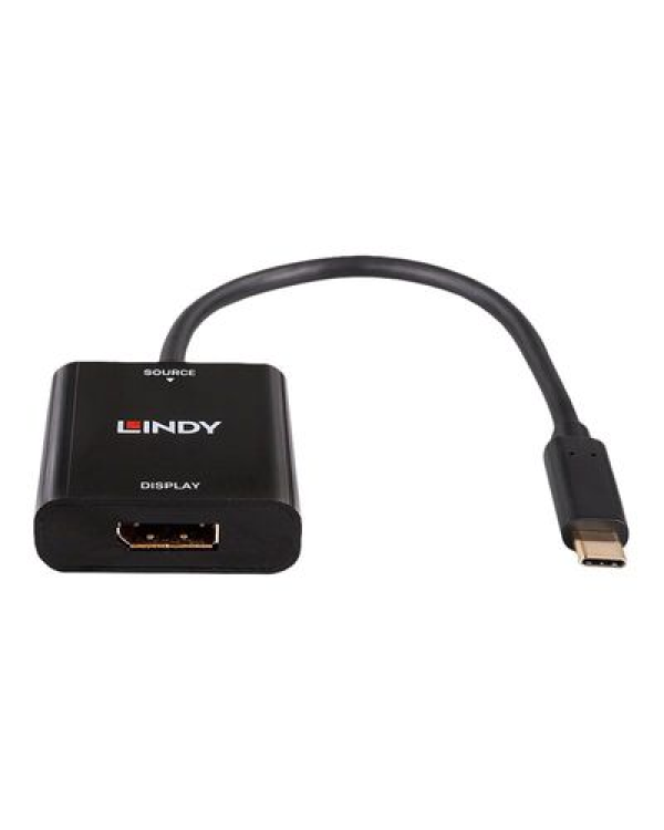 Lindy - видеоадаптер - 24 pin USB-C to DisplayPort - 21 см