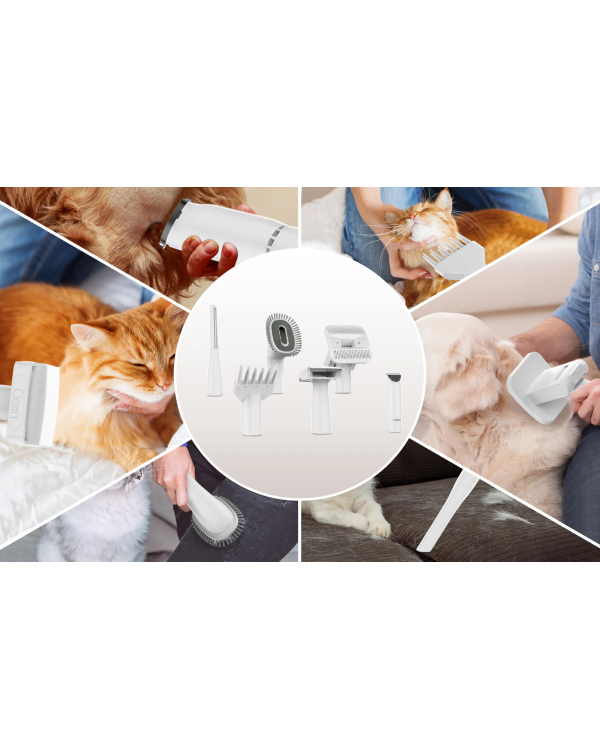 JIGOO P300 пылесос для ухода за шерстью домашних животных 300 Вт | 40℃ | 56 дБ | набор инструментов