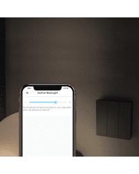 Sonoff умный 2-канальный Wi-Fi настенный выключатель черный (M5-2C-86)