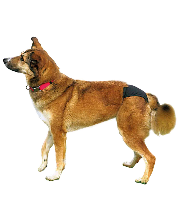 Штаны для собак : Trixie Protective Pants "L", 50-59 см, черный