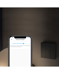 Sonoff Smart 1-канальный Wi-Fi настенный выключатель черный (M5-1C-86)