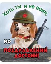 Виниловый магнит "Хоть ты и не воин, но поздравлений достоин!"