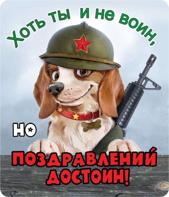 Виниловый магнит "Хоть ты и не воин, но поздравлений достоин!"