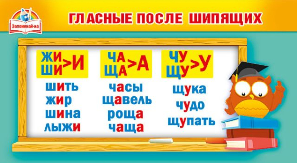 Шпаргалка "Гласные после шипящих/Правописание согласных"