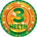 Медаль "3 место. Бронза"