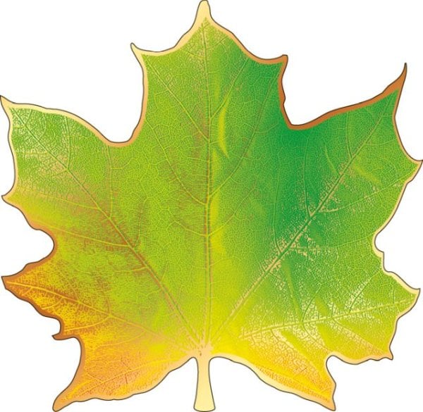 Украшение на скотче "Кленовый лист"
