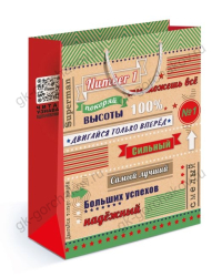 Пакет подарочный (ML) Мужской N1