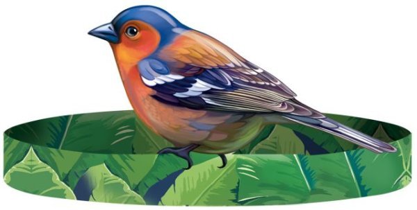 Без надписи (ободок) ЗЯБЛИК