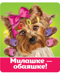 Виниловый магнит "Милашке-обаяшке"