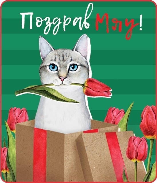 Виниловый магнит "ПоздравМЯУ"