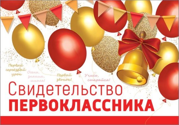 Свидетельство первоклассника