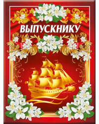 Папка "Выпускнику" (3 файла А4)