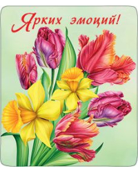 Магнит виниловый "Ярких эмоций!"