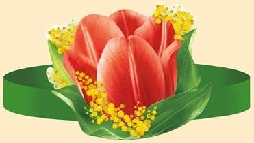 Без надписи (ободок) ТЮЛЬПАН КРАСНЫЙ