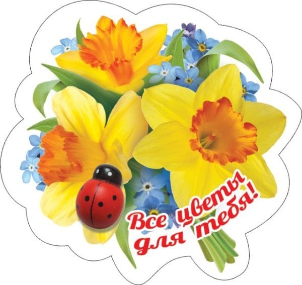 Виниловый магнит "Все цветы для тебя"