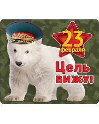 Виниловый магнит "Цель вижу"